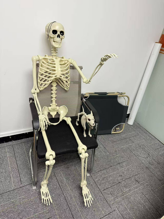 5.4FT Full Body Realistic Plastic Skeleton Decoration with Movable Joints & Hanging Cord for Outdoor & Indoor Haunted House Decor
